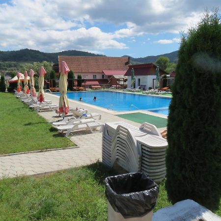 Pensiunea Cetina Brad  Exterior foto