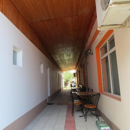 Pensiunea Cetina Brad  Exterior foto