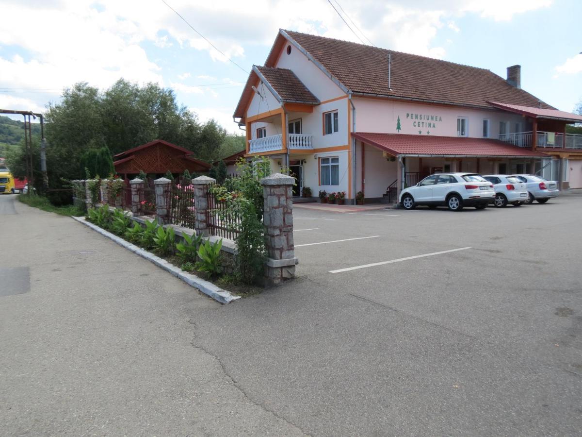 Pensiunea Cetina Brad  Exterior foto