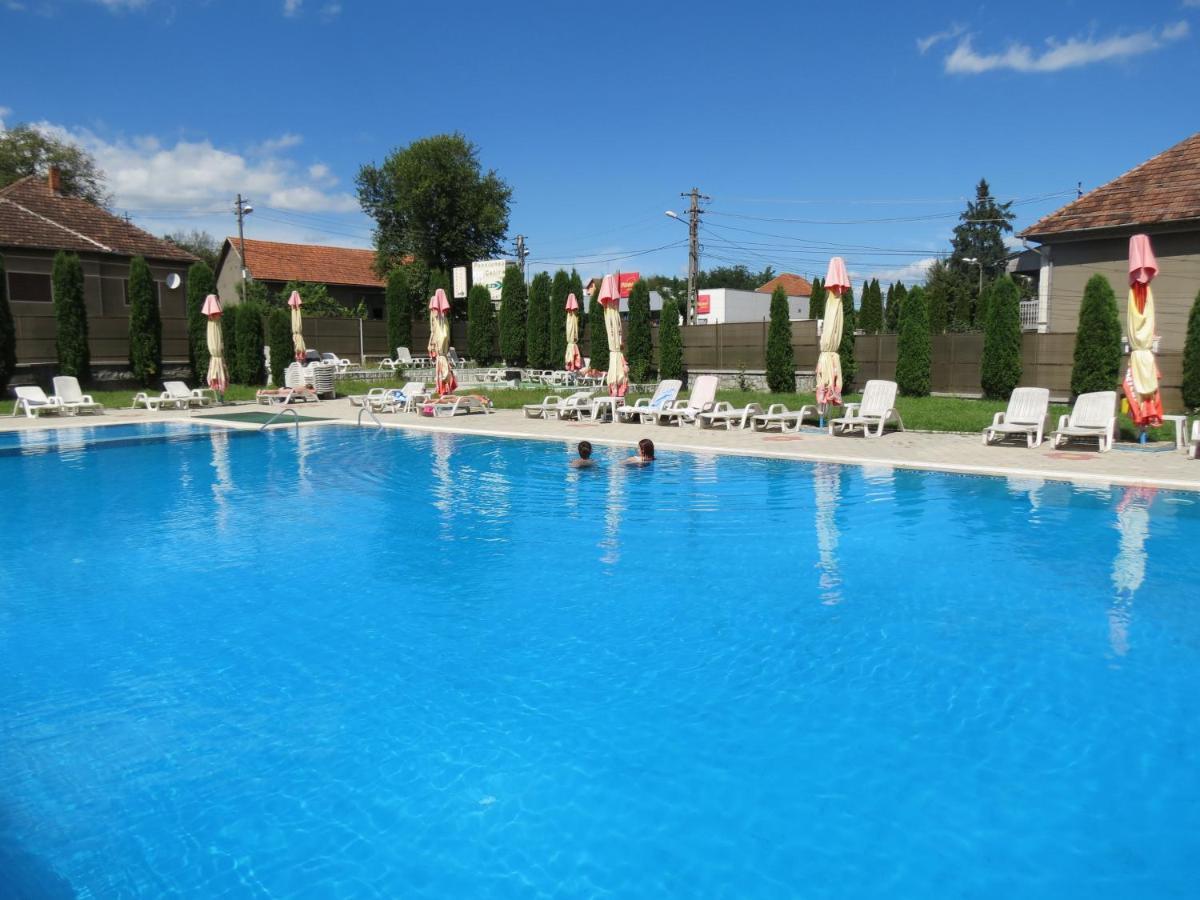 Pensiunea Cetina Brad  Exterior foto