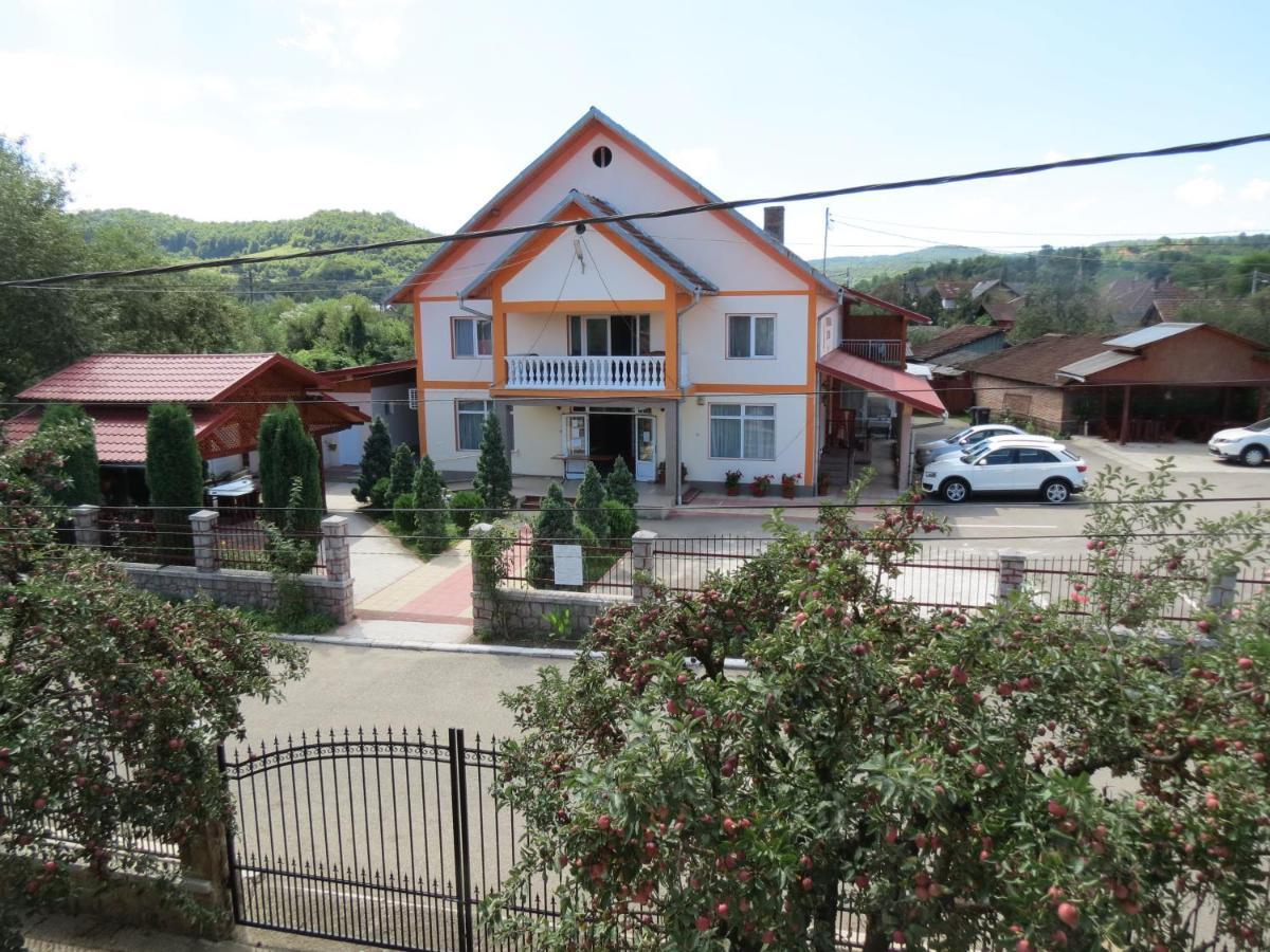 Pensiunea Cetina Brad  Exterior foto