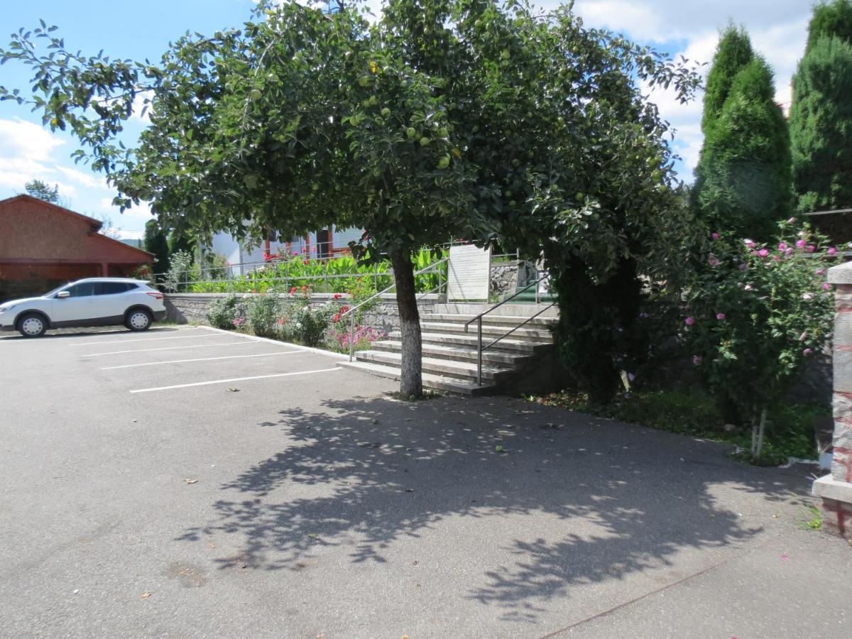 Pensiunea Cetina Brad  Exterior foto
