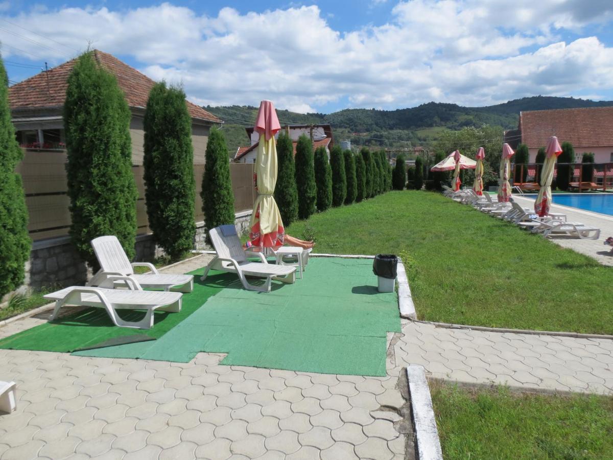Pensiunea Cetina Brad  Exterior foto