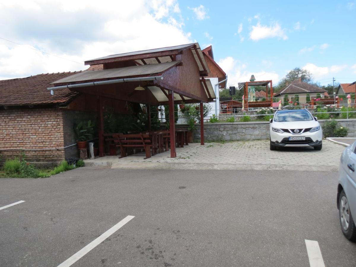 Pensiunea Cetina Brad  Exterior foto