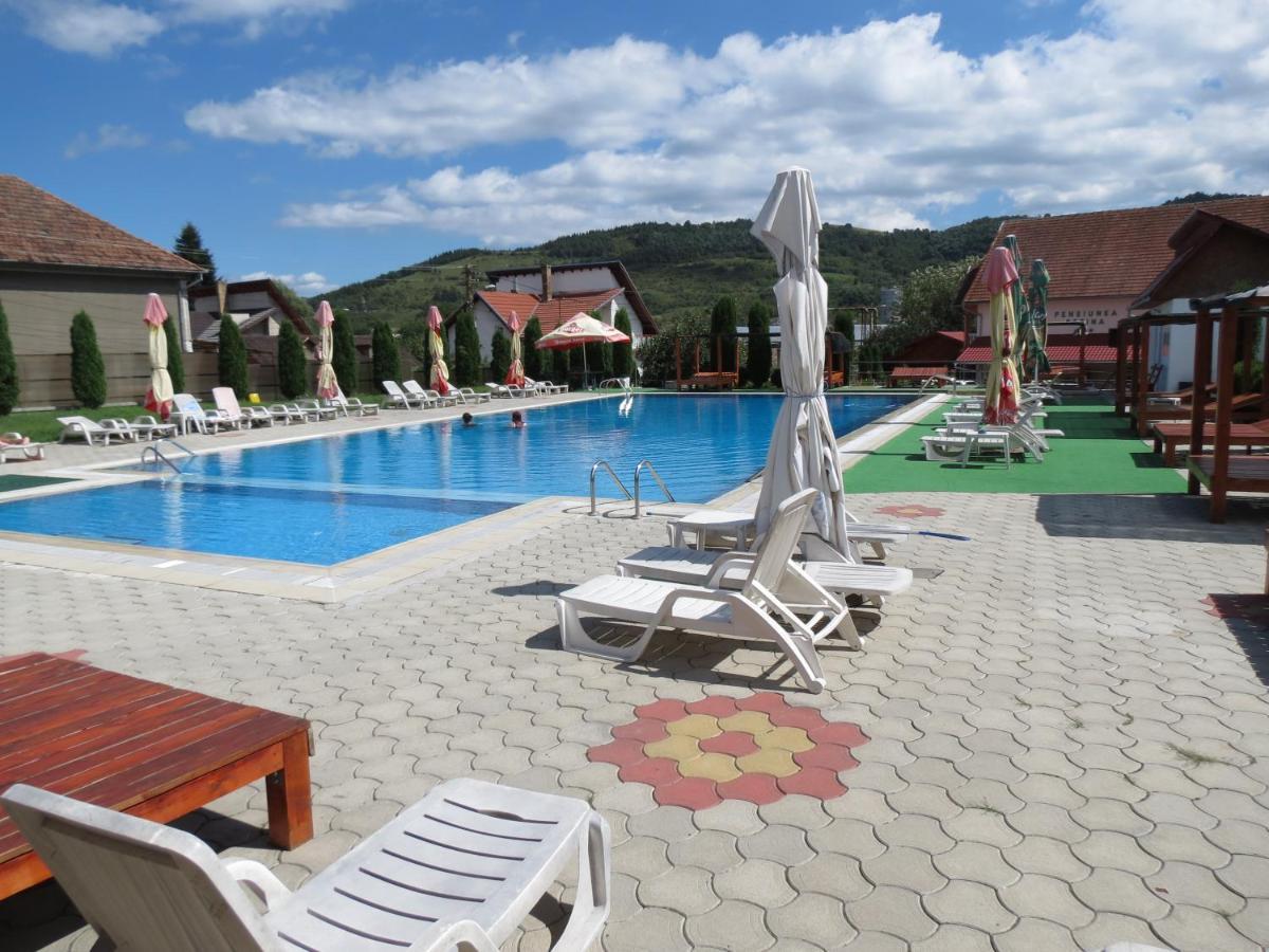 Pensiunea Cetina Brad  Exterior foto