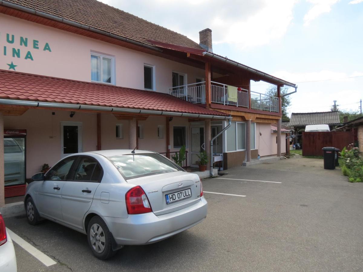 Pensiunea Cetina Brad  Exterior foto