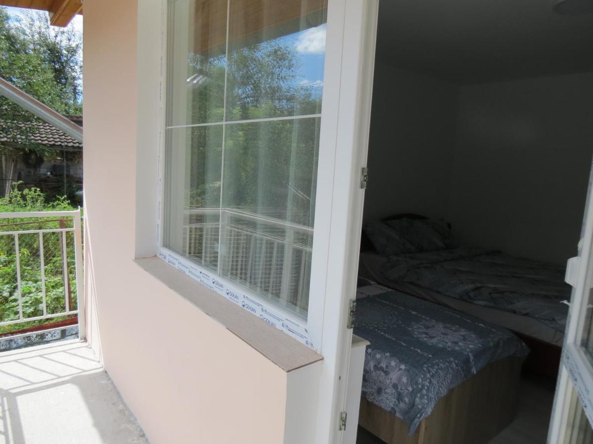Pensiunea Cetina Brad  Exterior foto