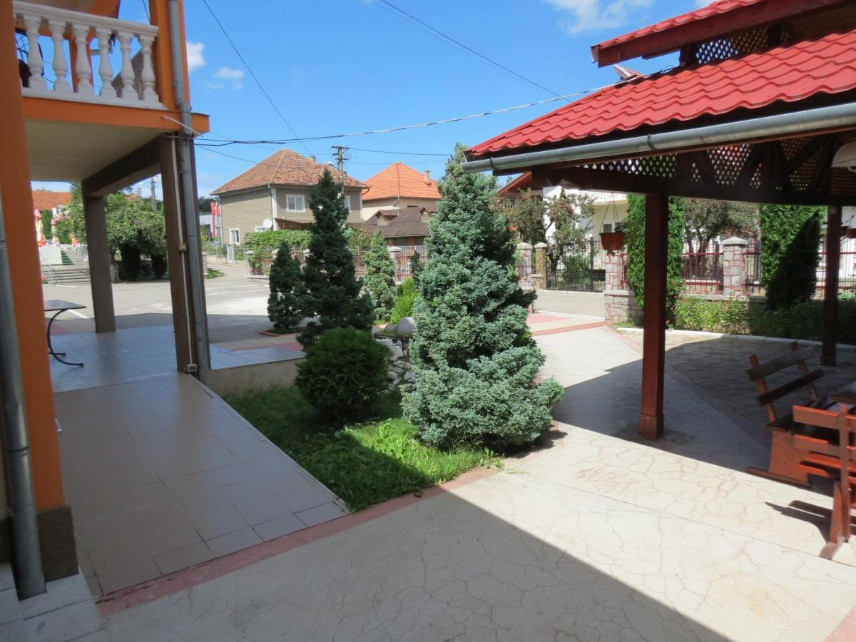 Pensiunea Cetina Brad  Exterior foto