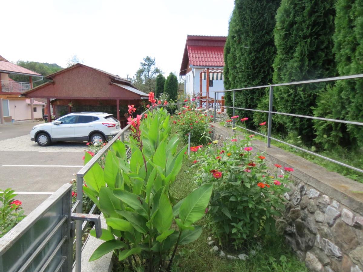 Pensiunea Cetina Brad  Exterior foto