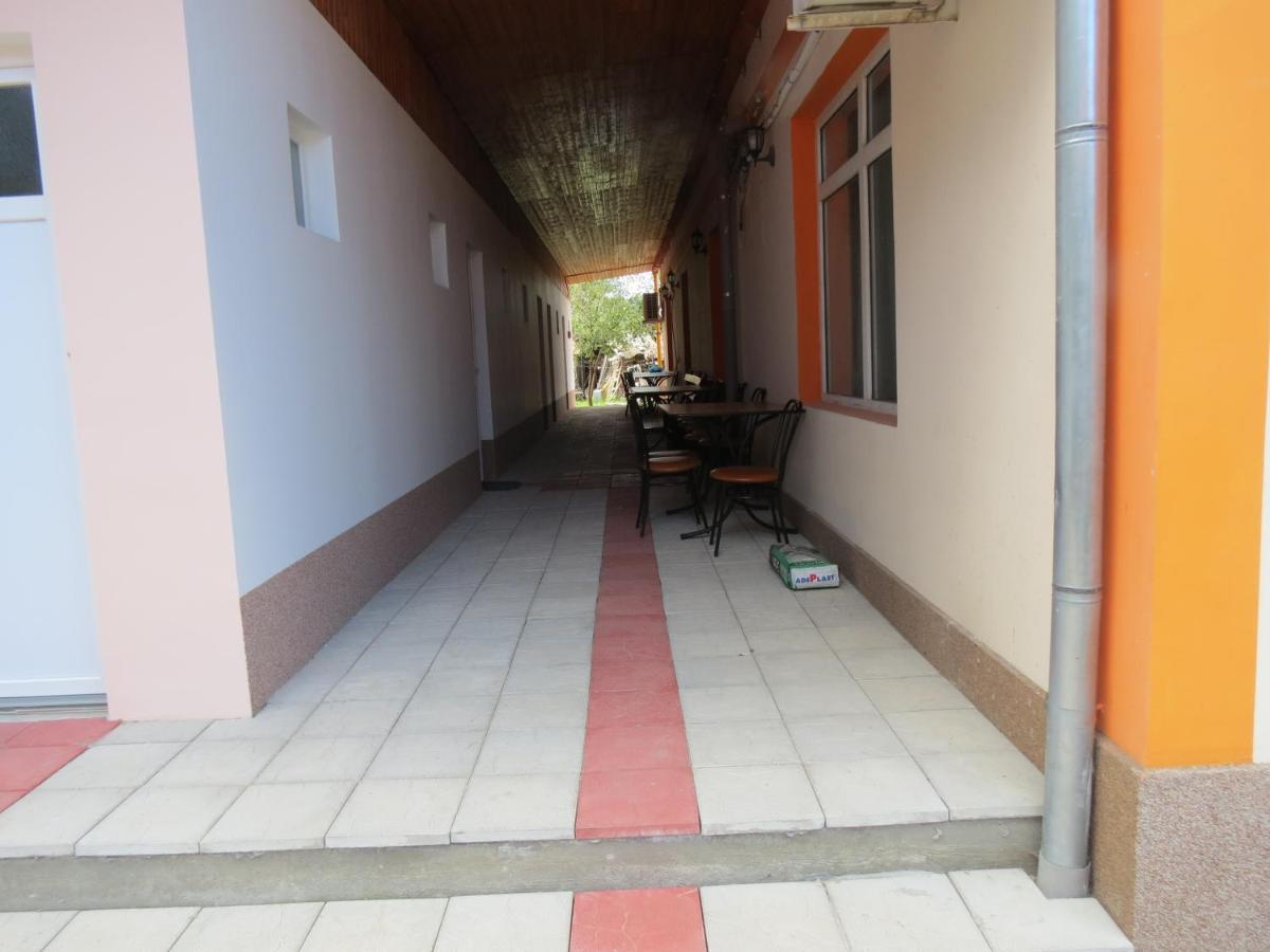 Pensiunea Cetina Brad  Exterior foto