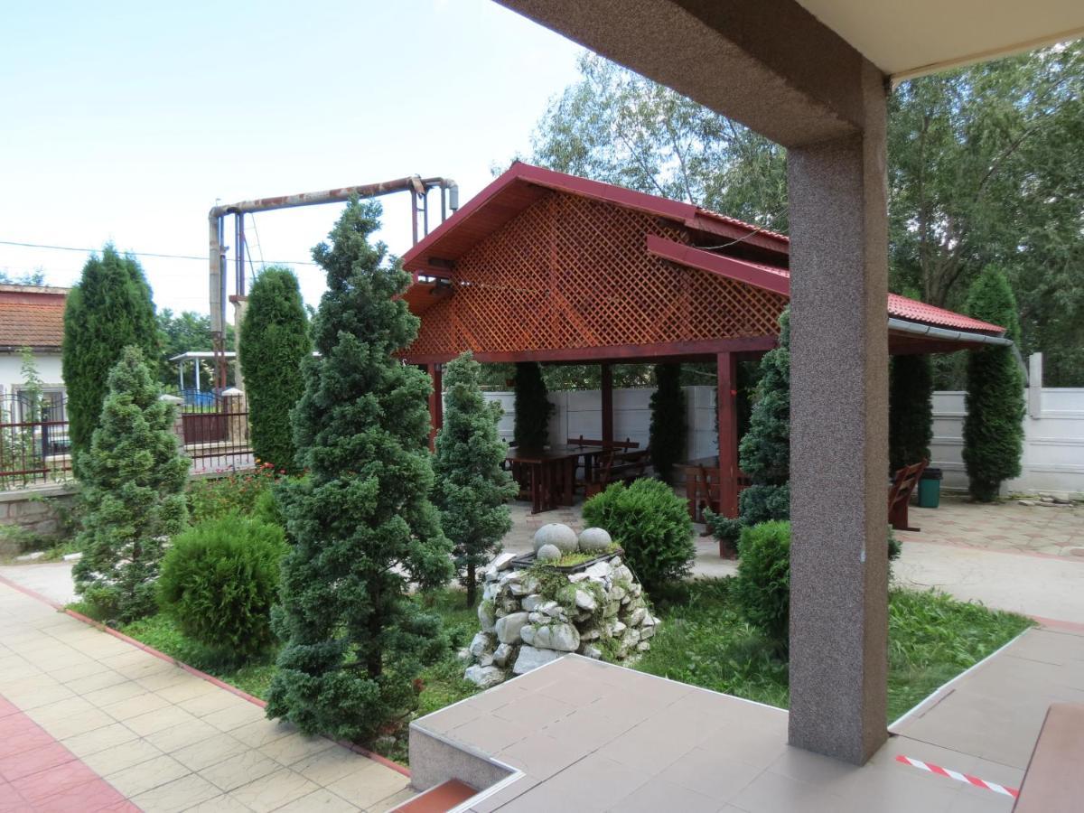 Pensiunea Cetina Brad  Exterior foto