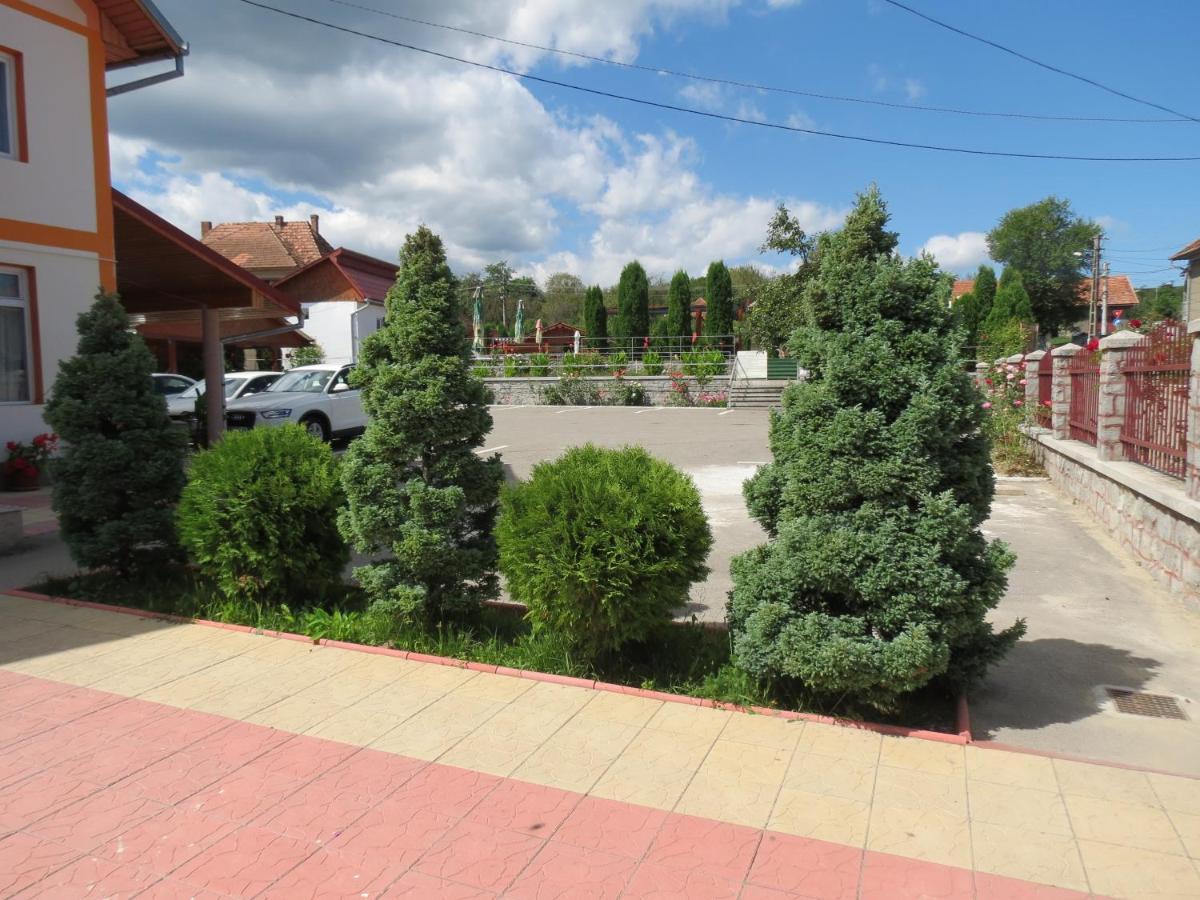 Pensiunea Cetina Brad  Exterior foto