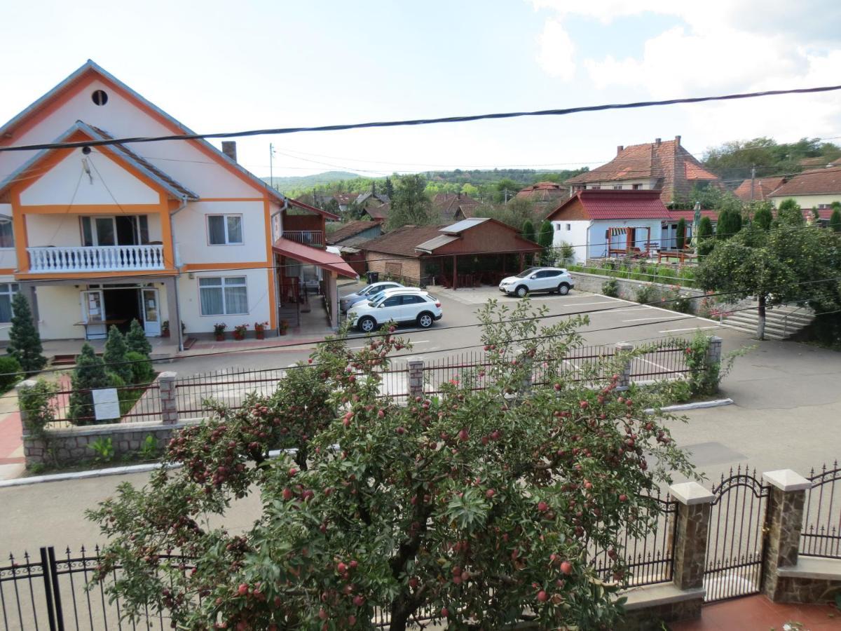 Pensiunea Cetina Brad  Exterior foto