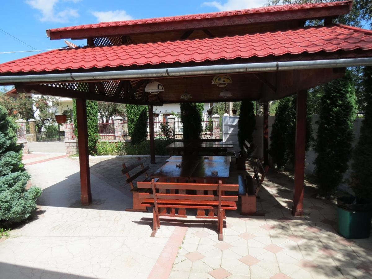 Pensiunea Cetina Brad  Exterior foto