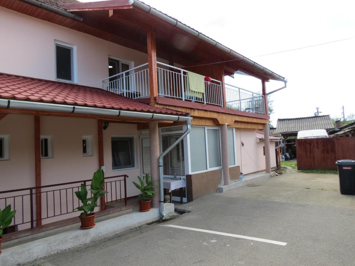 Pensiunea Cetina Brad  Exterior foto