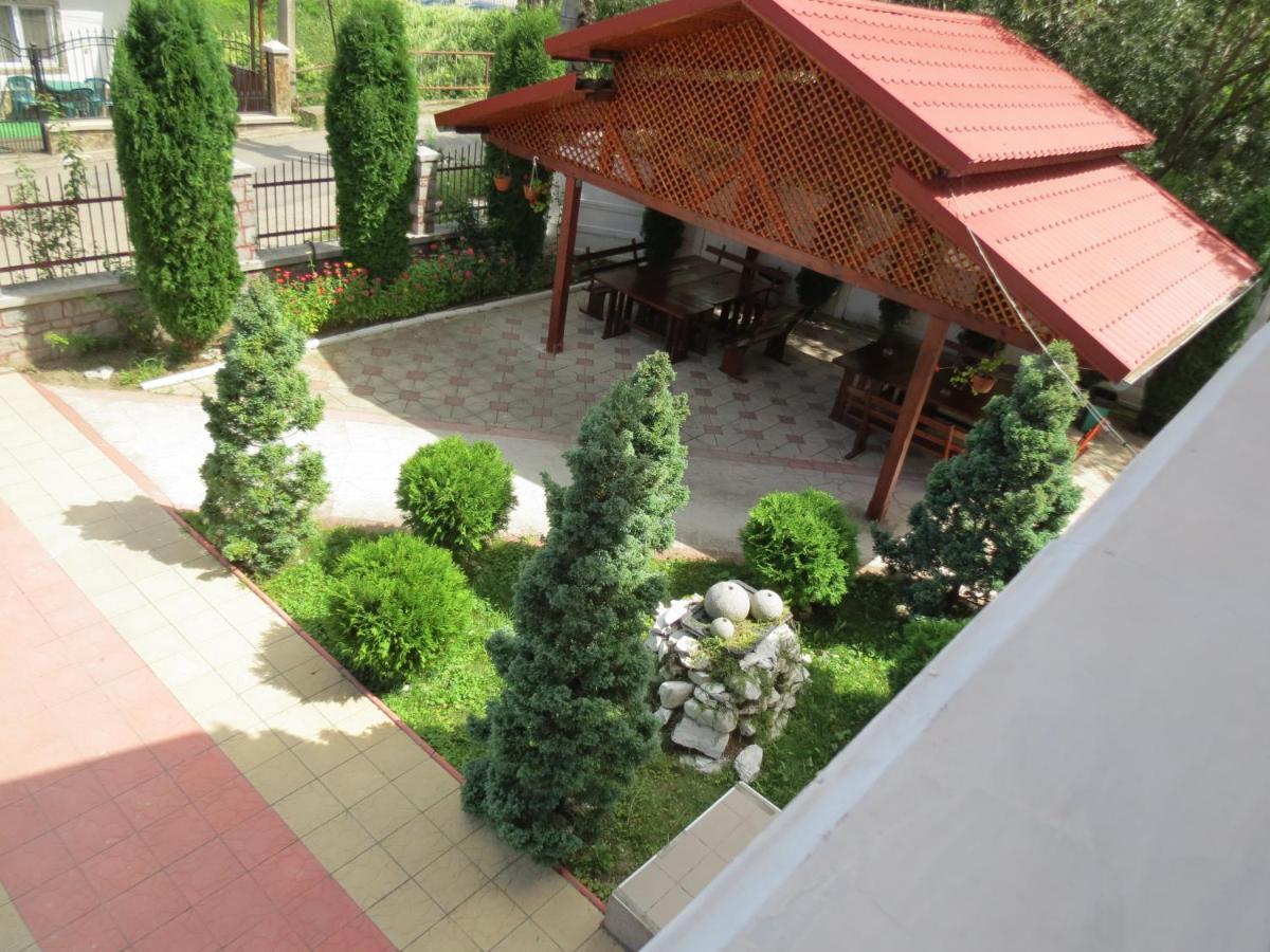 Pensiunea Cetina Brad  Exterior foto