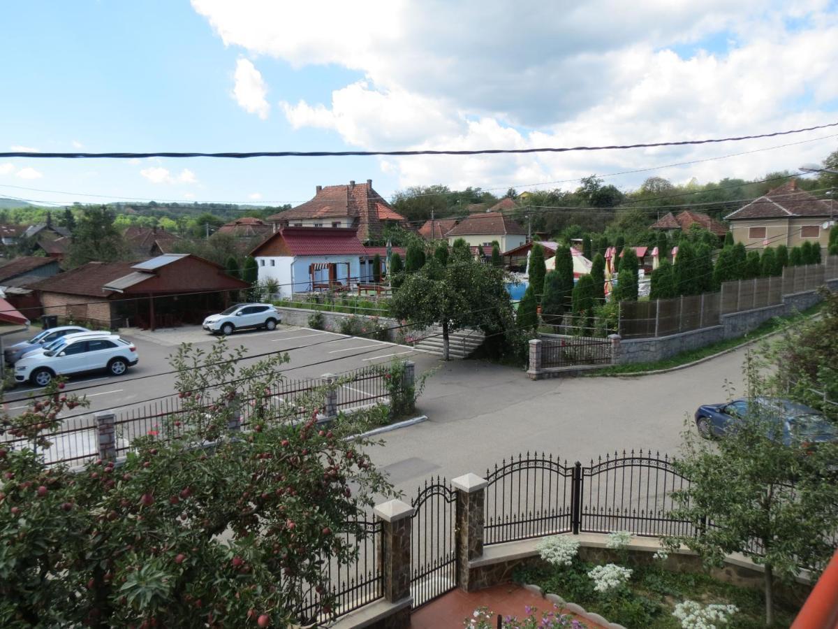 Pensiunea Cetina Brad  Exterior foto