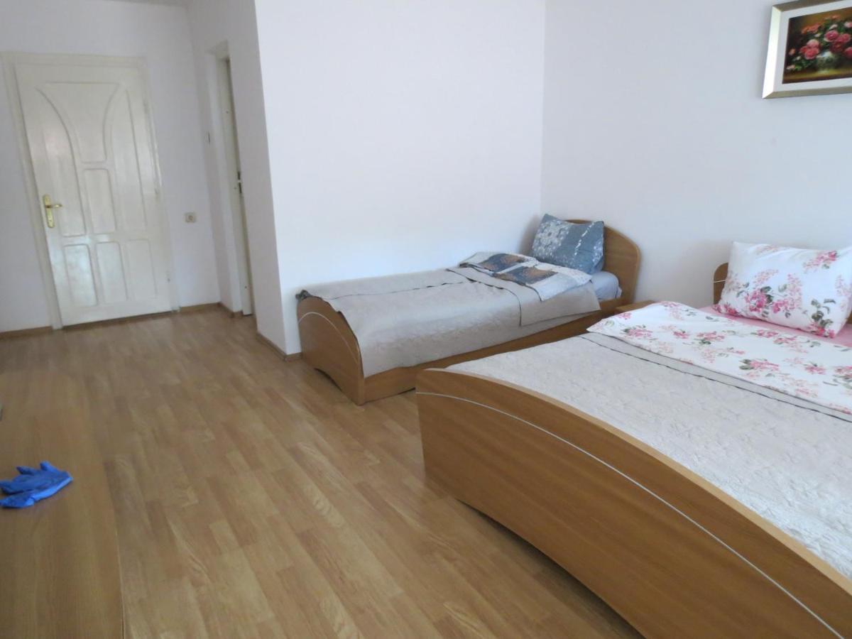 Pensiunea Cetina Brad  Exterior foto