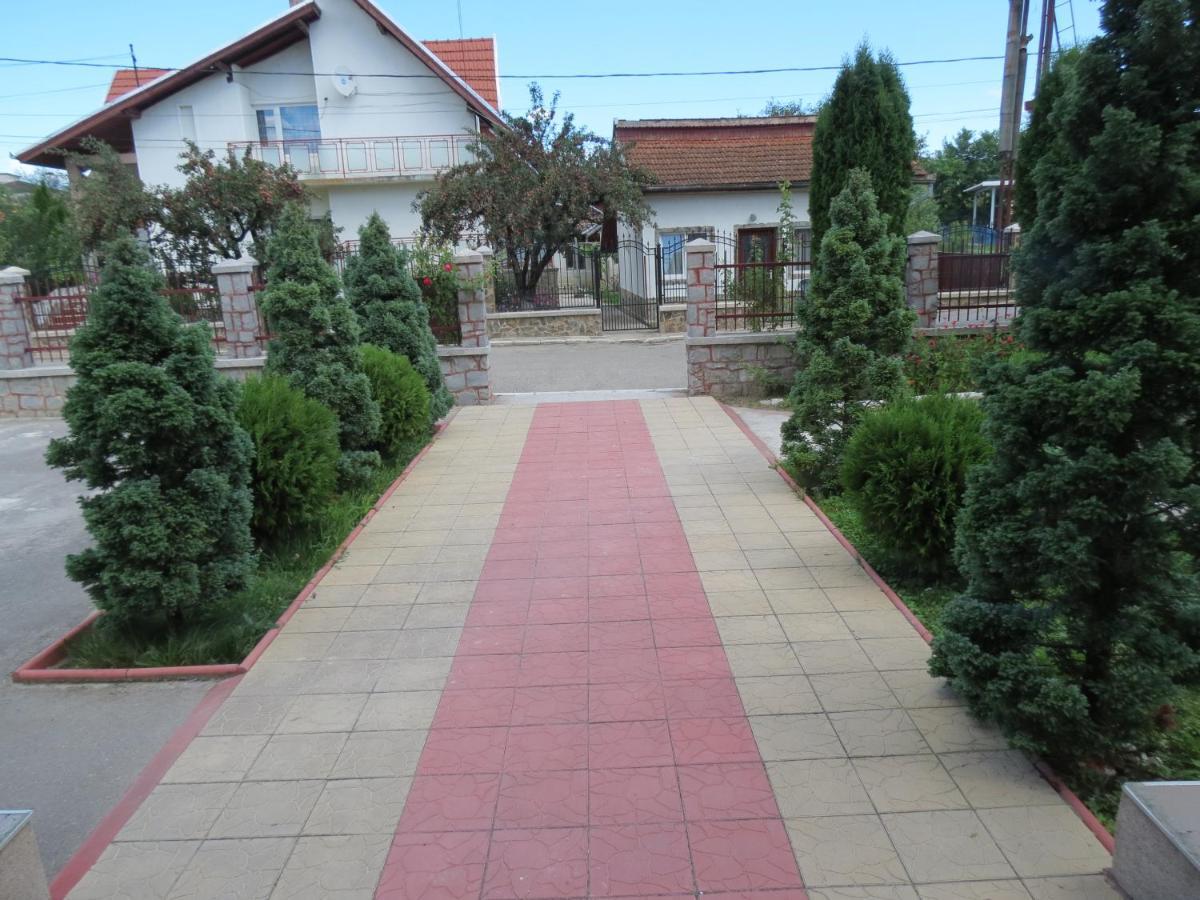 Pensiunea Cetina Brad  Exterior foto