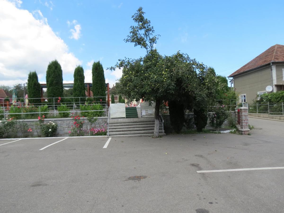 Pensiunea Cetina Brad  Exterior foto