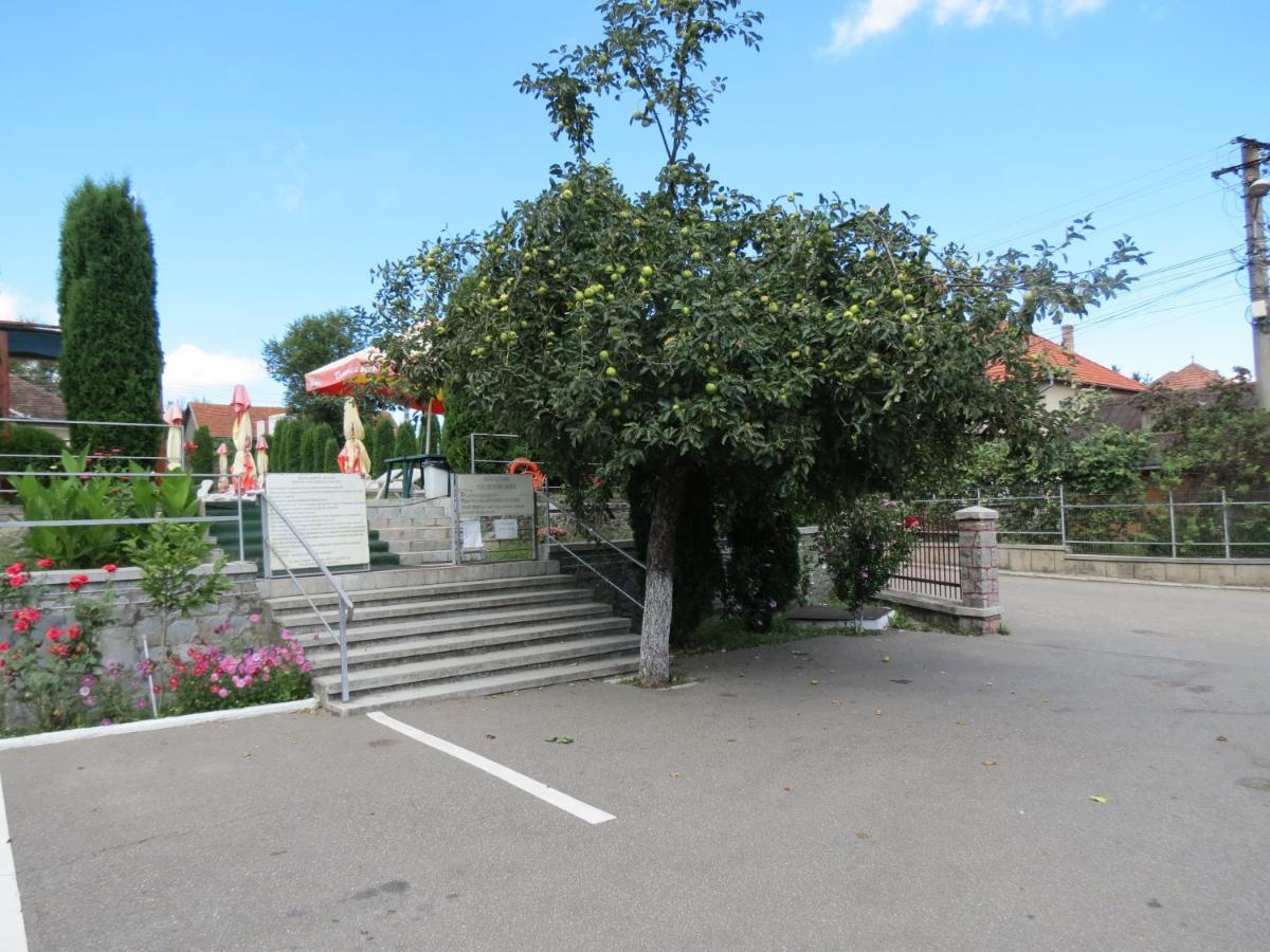 Pensiunea Cetina Brad  Exterior foto