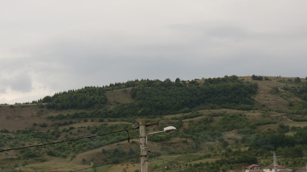 Pensiunea Cetina Brad  Exterior foto