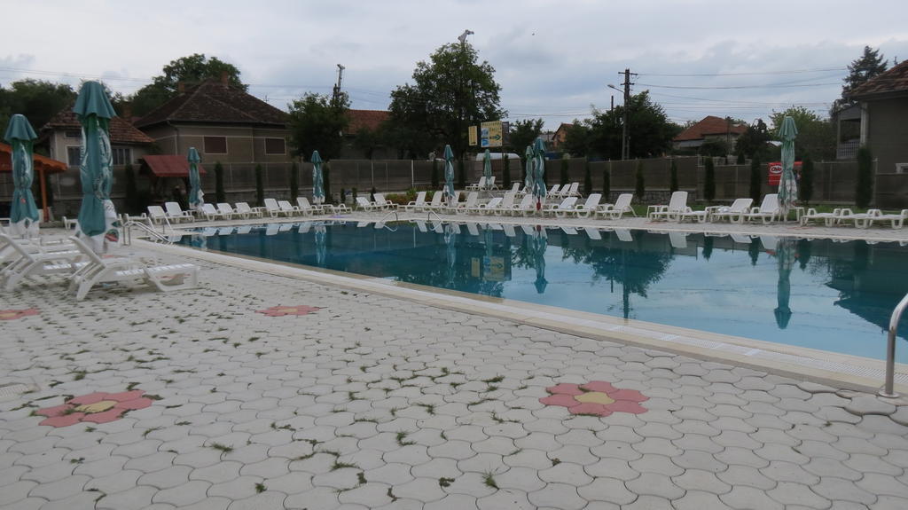 Pensiunea Cetina Brad  Exterior foto