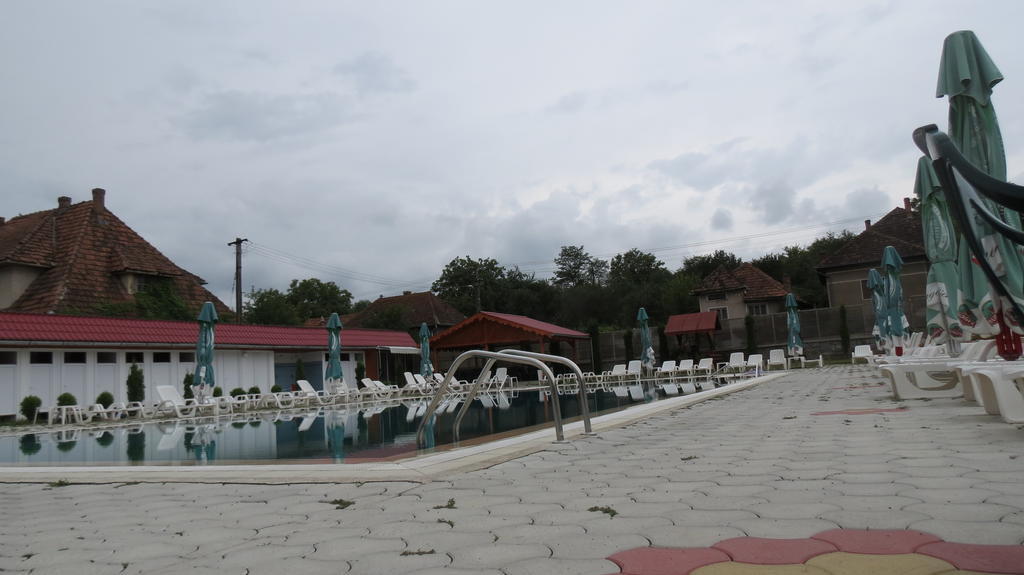 Pensiunea Cetina Brad  Exterior foto