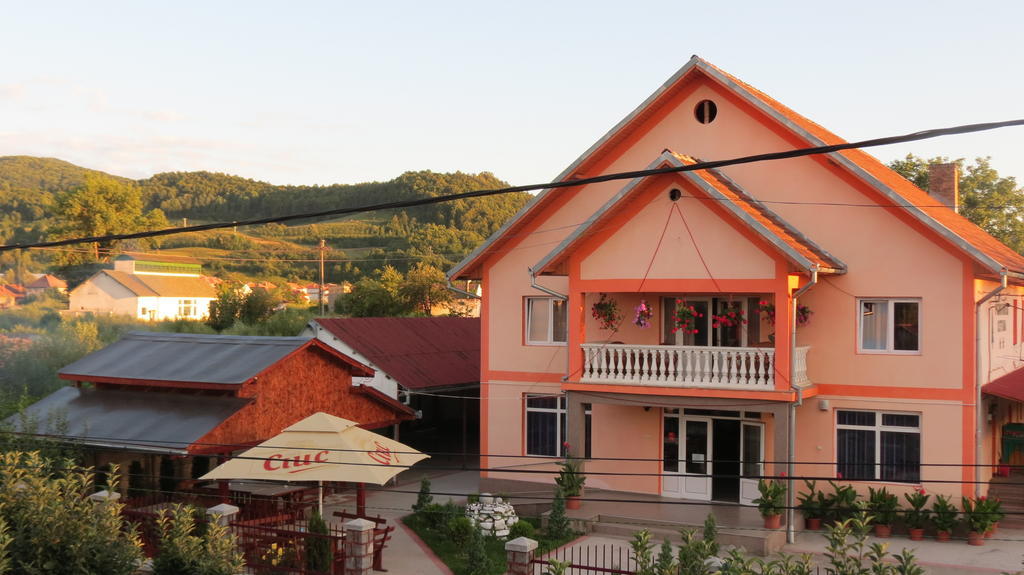 Pensiunea Cetina Brad  Exterior foto