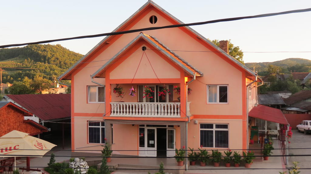 Pensiunea Cetina Brad  Exterior foto