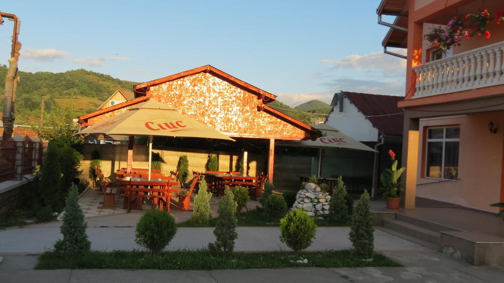 Pensiunea Cetina Brad  Exterior foto