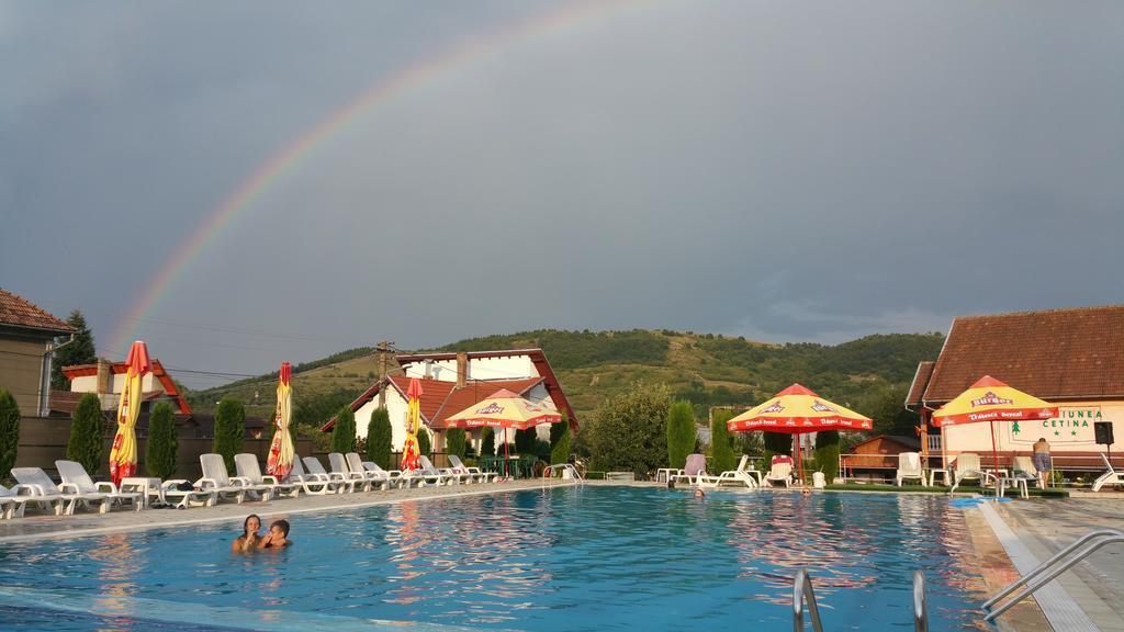Pensiunea Cetina Brad  Exterior foto